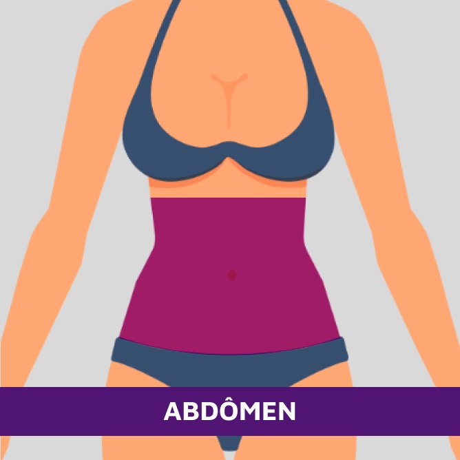 Abdomen - 1