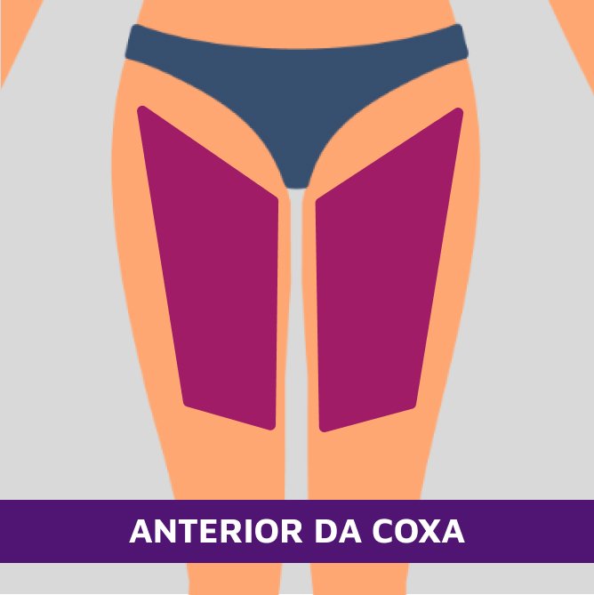 Anterior da coxa - 1