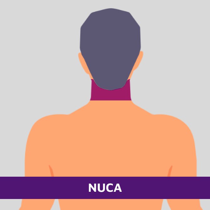 Nuca - 2