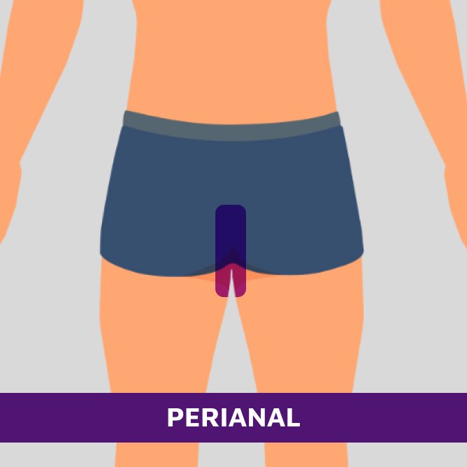 PERIANAL - 2