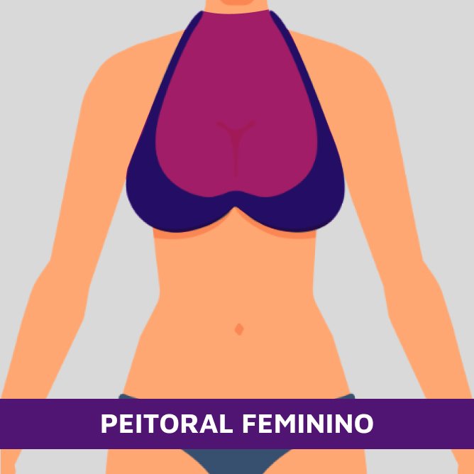 Peitoral Feminino - 1