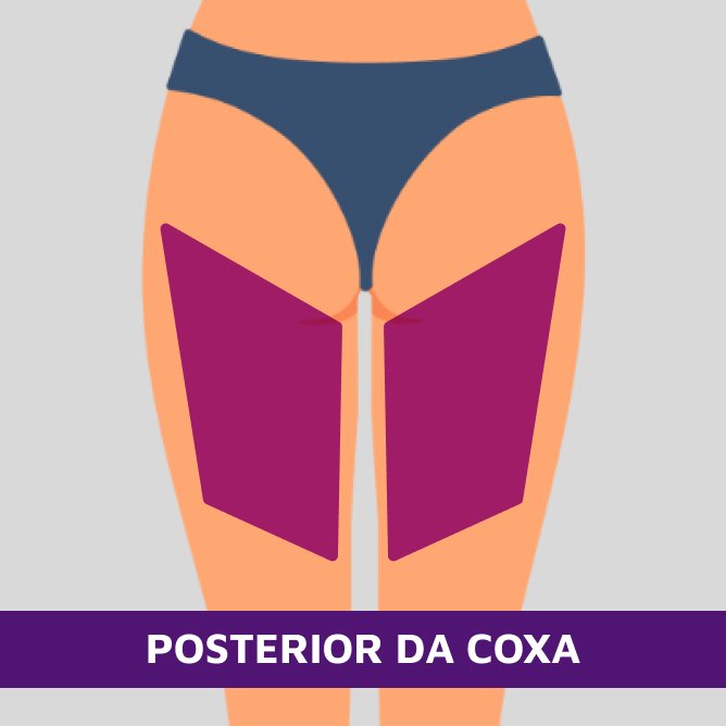 Posterior da coxa - 1